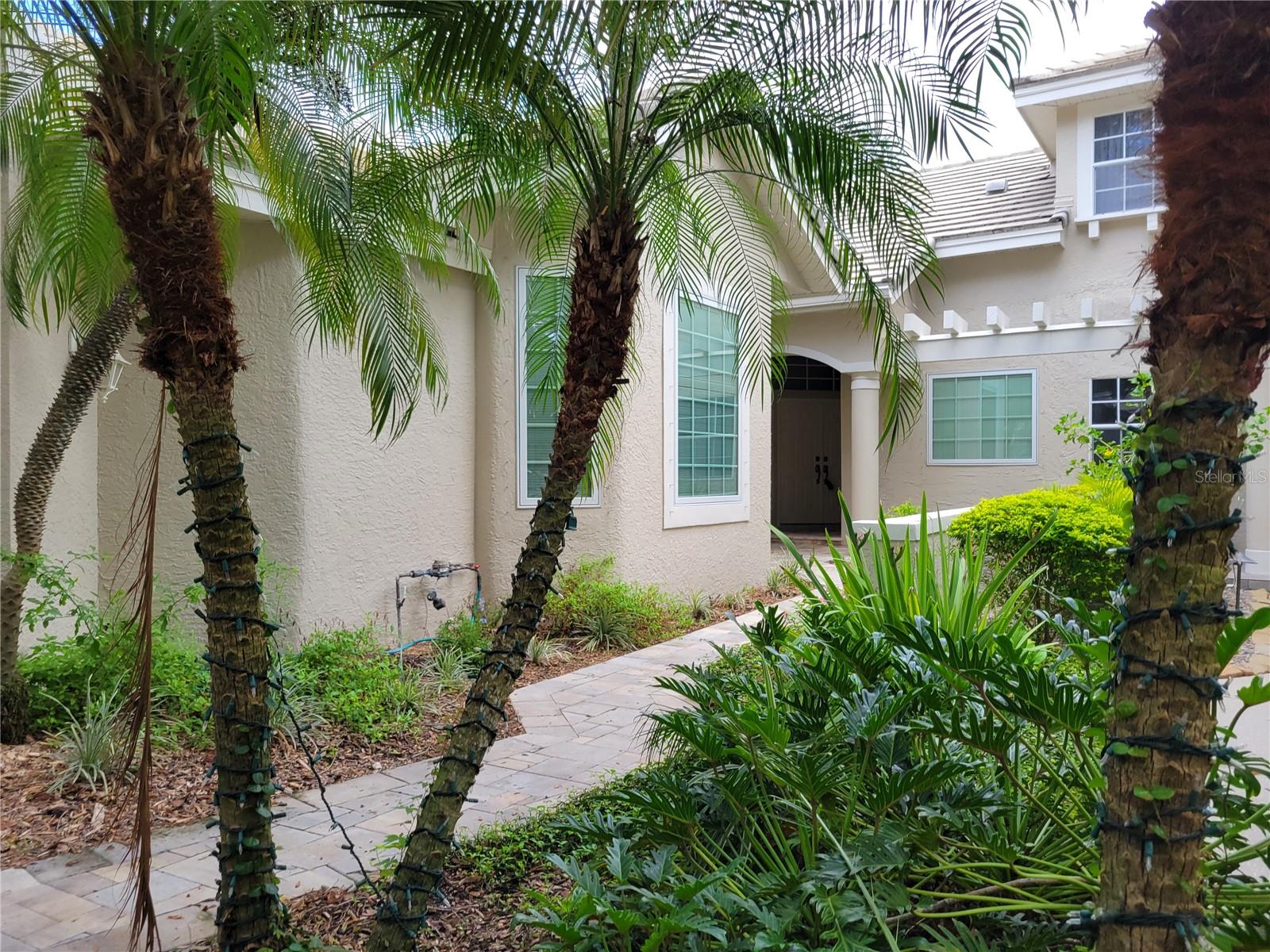 379 Fan Palm Ct Ne #0 Property Photo 5