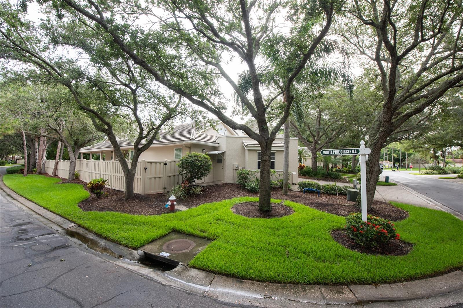 379 Fan Palm Ct Ne #0 Property Photo 38