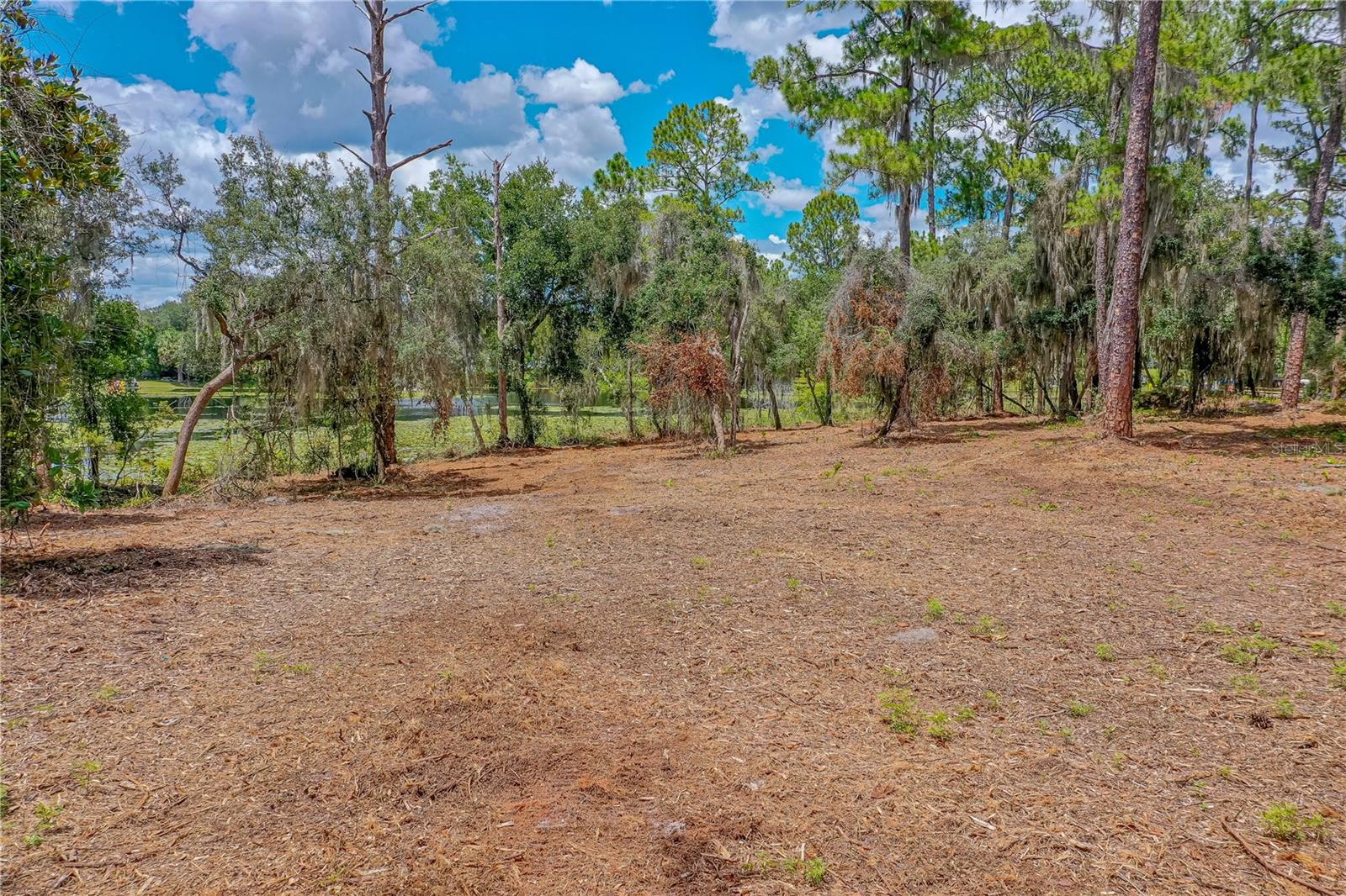 Tbd Twin Oak St Property Photo 15