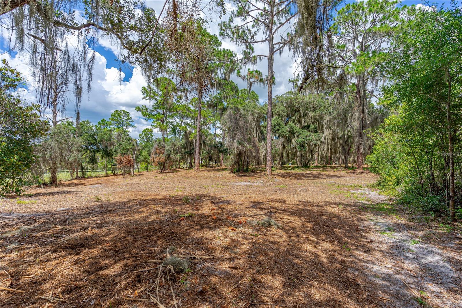 Tbd Twin Oak St Property Photo 16