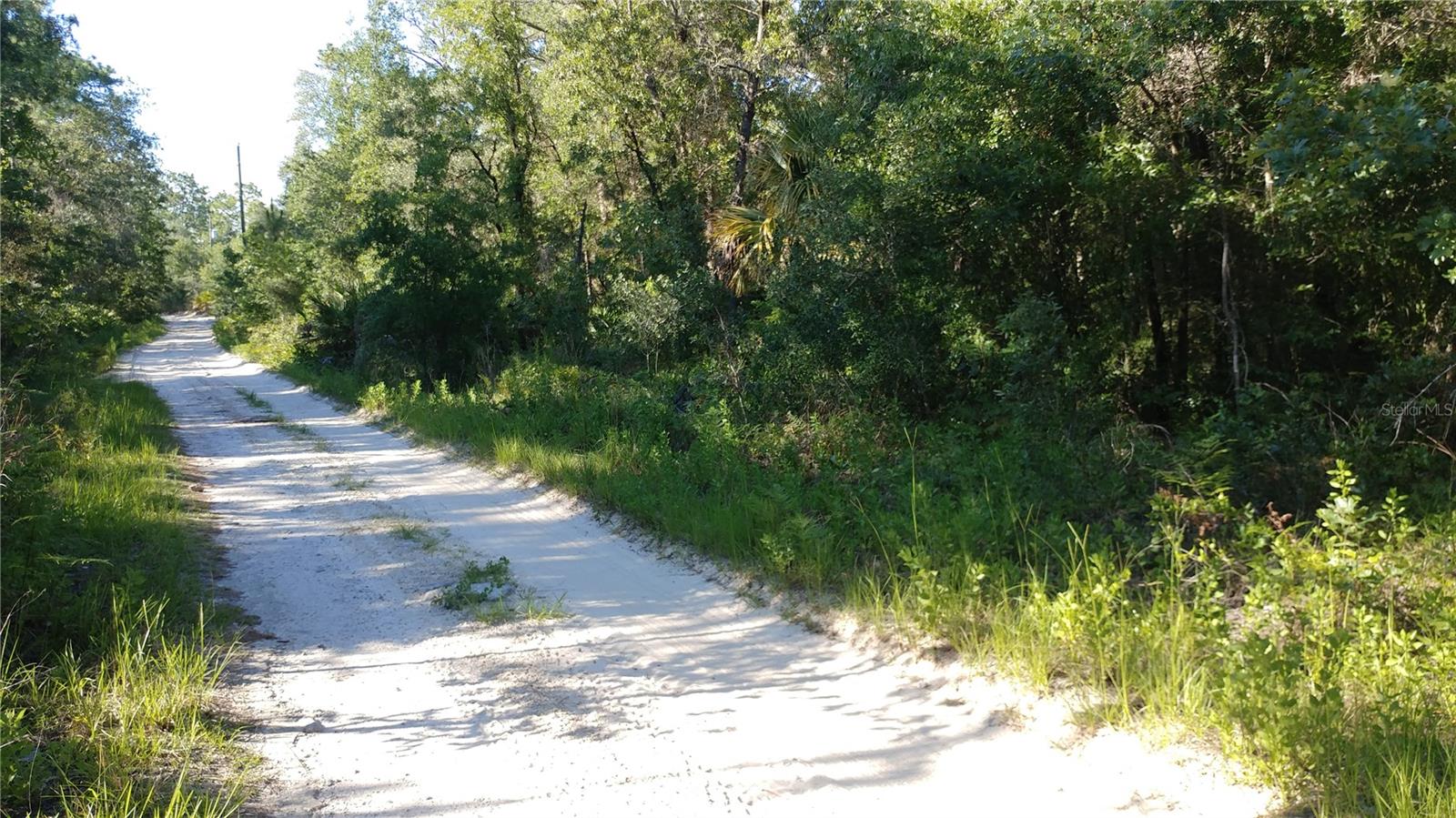 4788 N Mattox Pt Property Photo 5