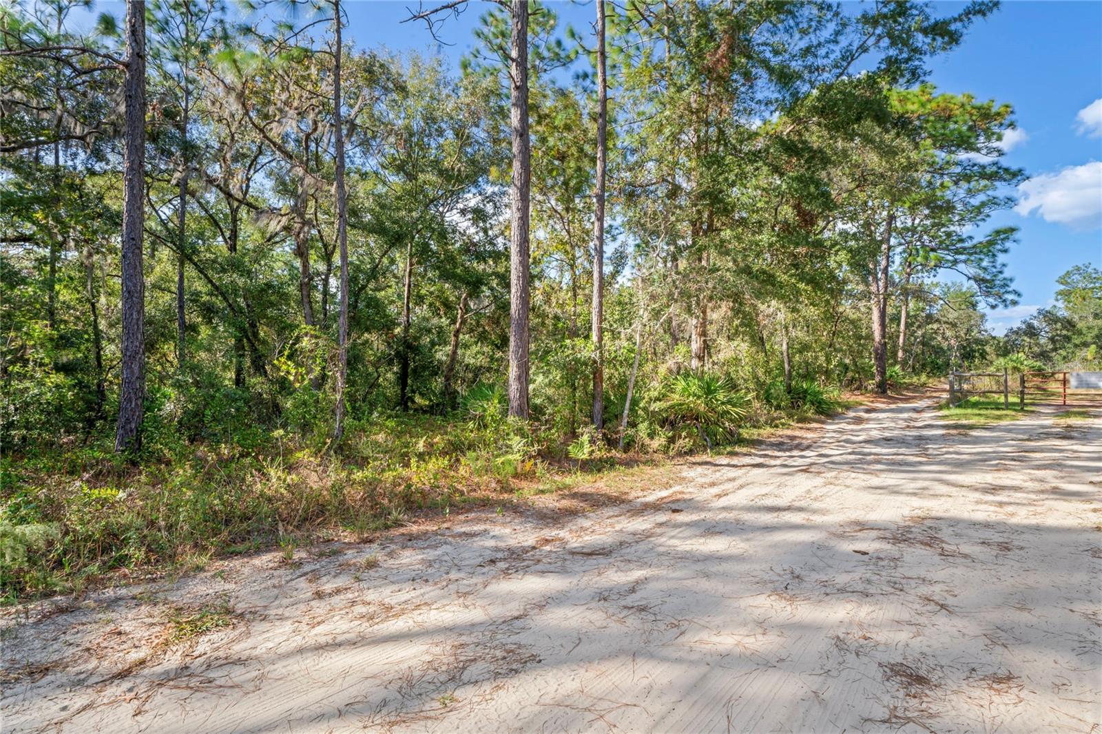 4788 N Mattox Pt Property Photo 6