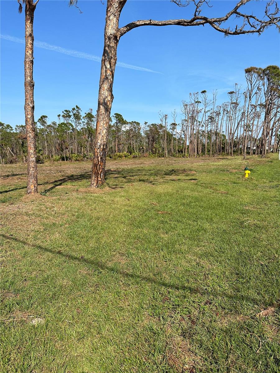 8878 Bantry Bay Blvd Property Photo 1