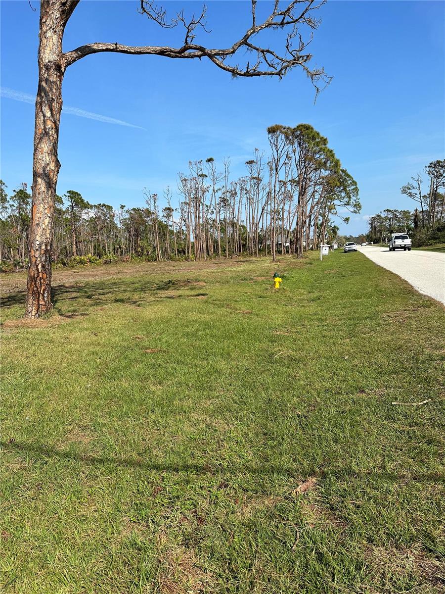 8878 Bantry Bay Blvd Property Photo 2
