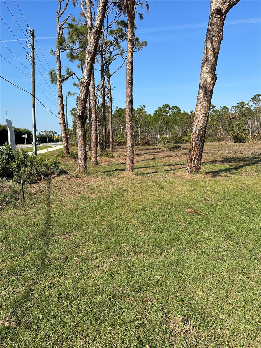 8878 Bantry Bay Blvd Property Photo 4