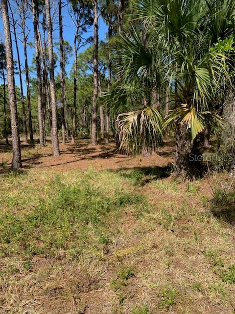 8878 Bantry Bay Blvd Property Photo 6
