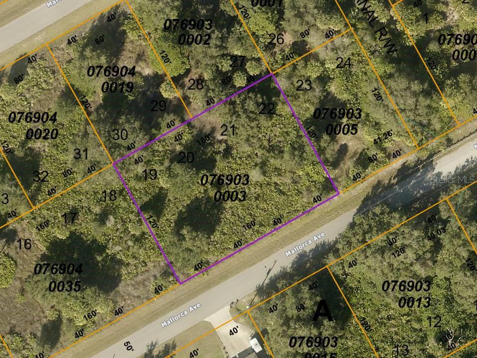 Lots 19 20 21 & 22 Mallorca Ave Property Photo 1