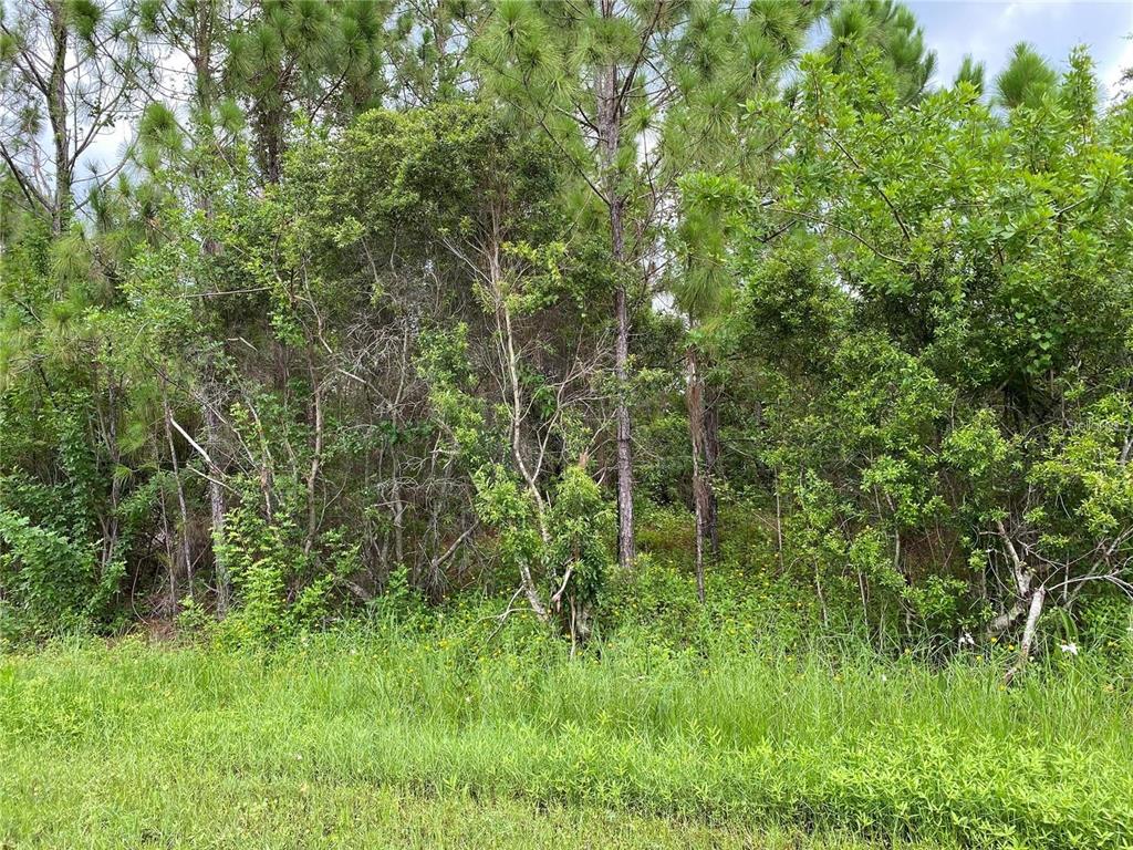 Caesar Road Property Photo 1