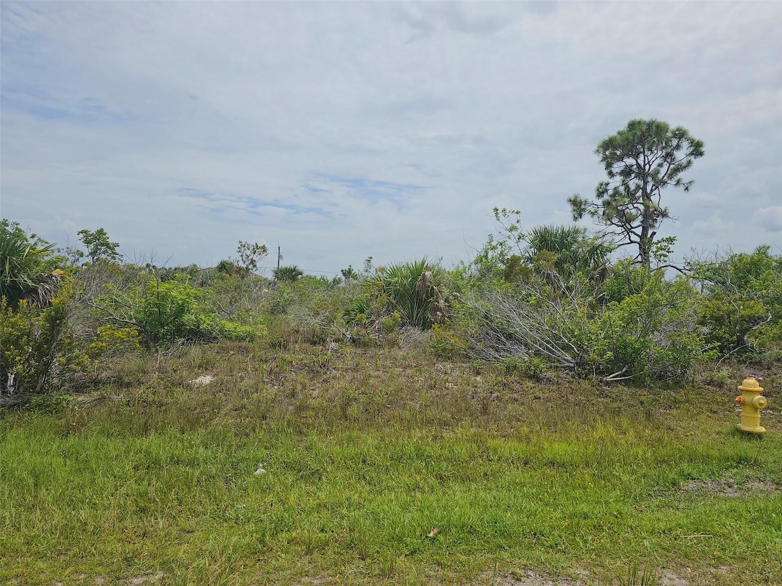 15093 Acorn Cir Property Photo 1