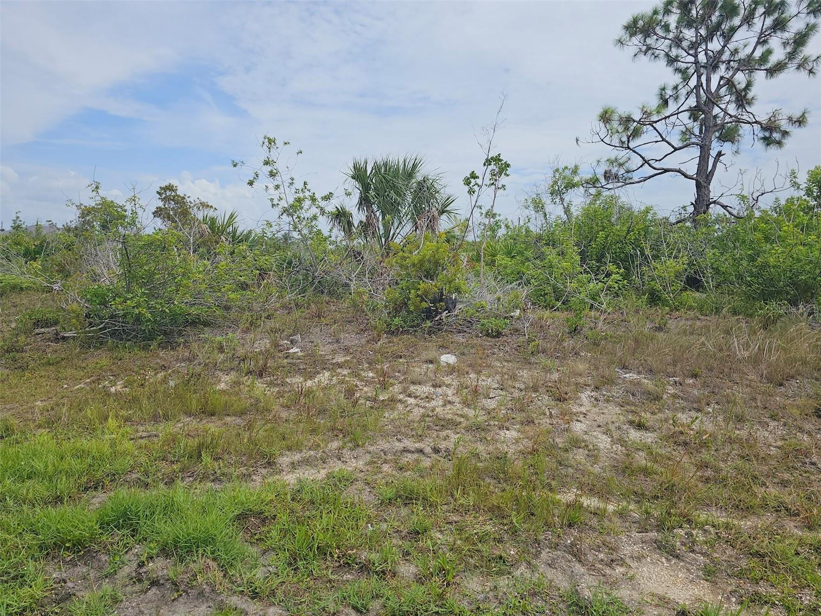 15093 Acorn Cir Property Photo 2