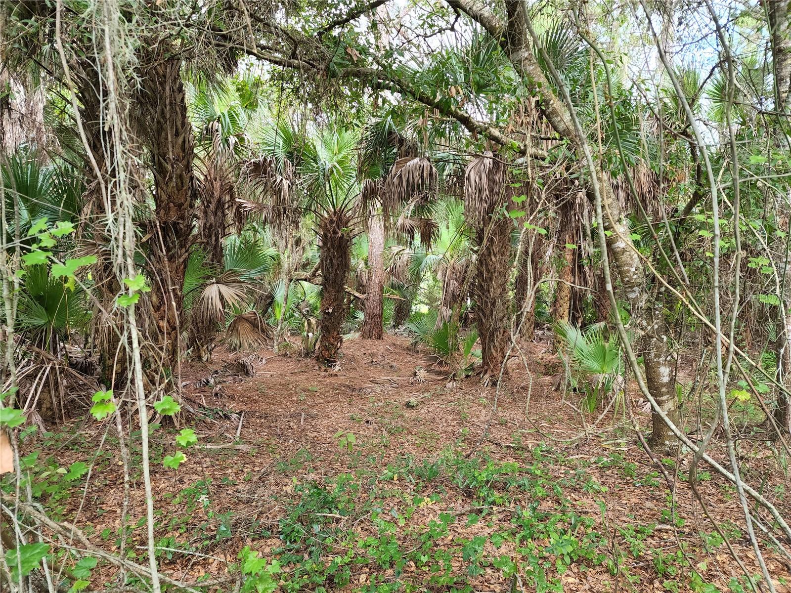 Lot 14 & 15 Gardenside Circle Property Photo 10