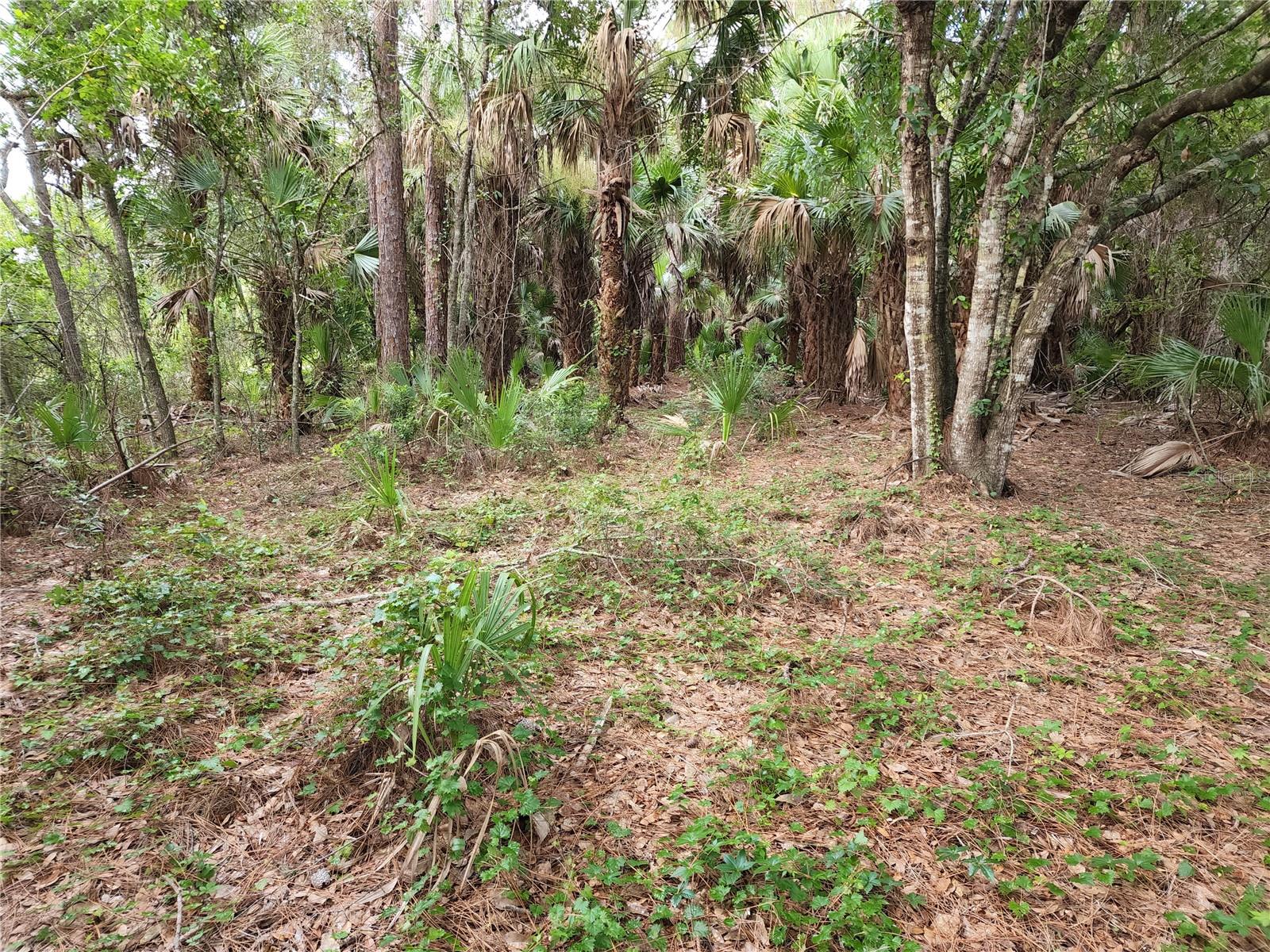Lot 14 & 15 Gardenside Circle Property Photo 11