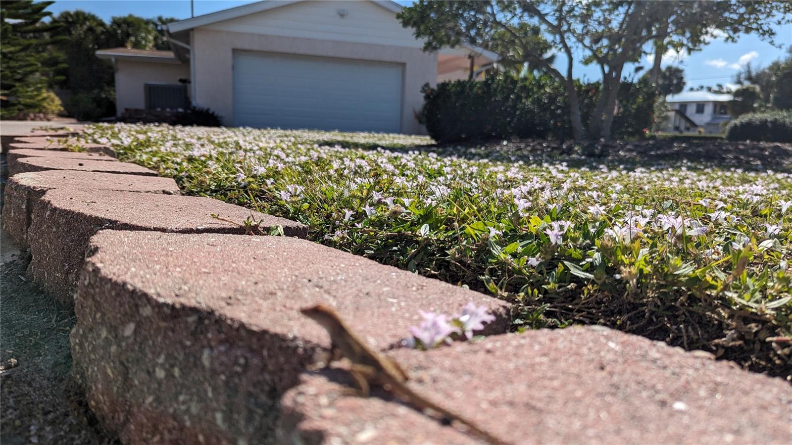 2500 Bayshore Rd Property Photo 2