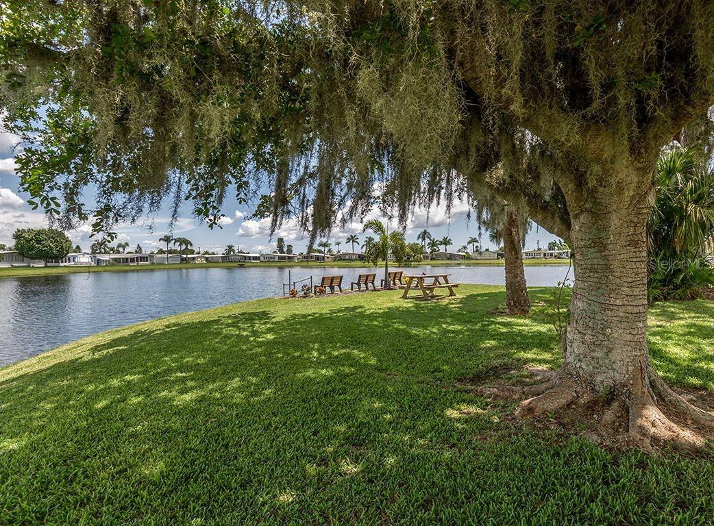 257 Palm Harbor Dr Property Photo 45