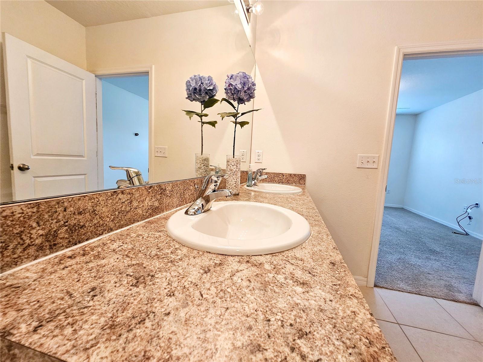 12021 Gillingham Harbor Ln Property Photo 16