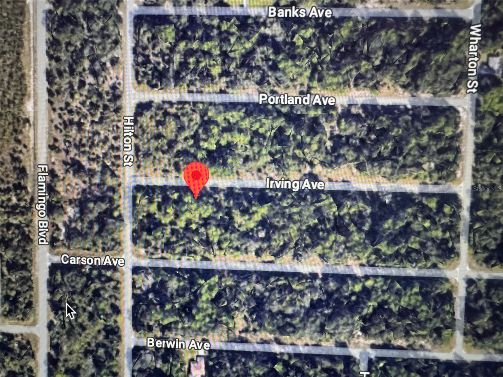 17059 Irving Ave Property Photo 5