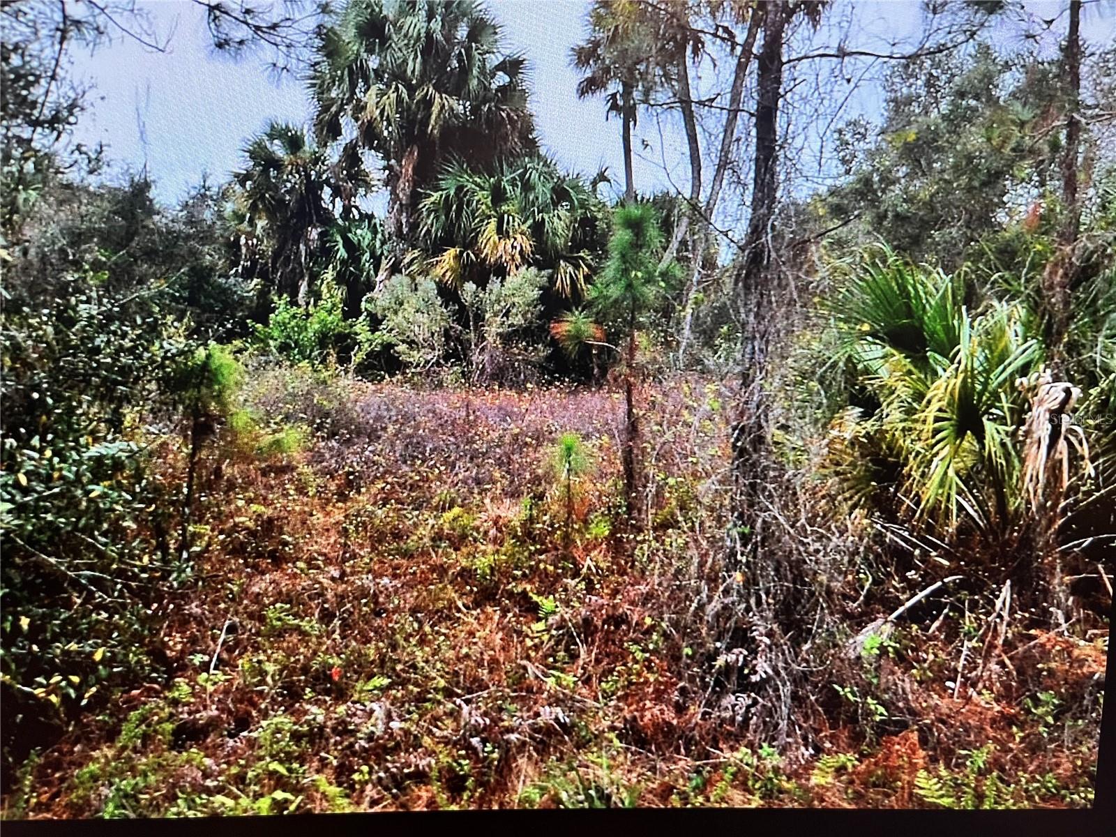 Lot 31 Corbett Ln Property Photo 2