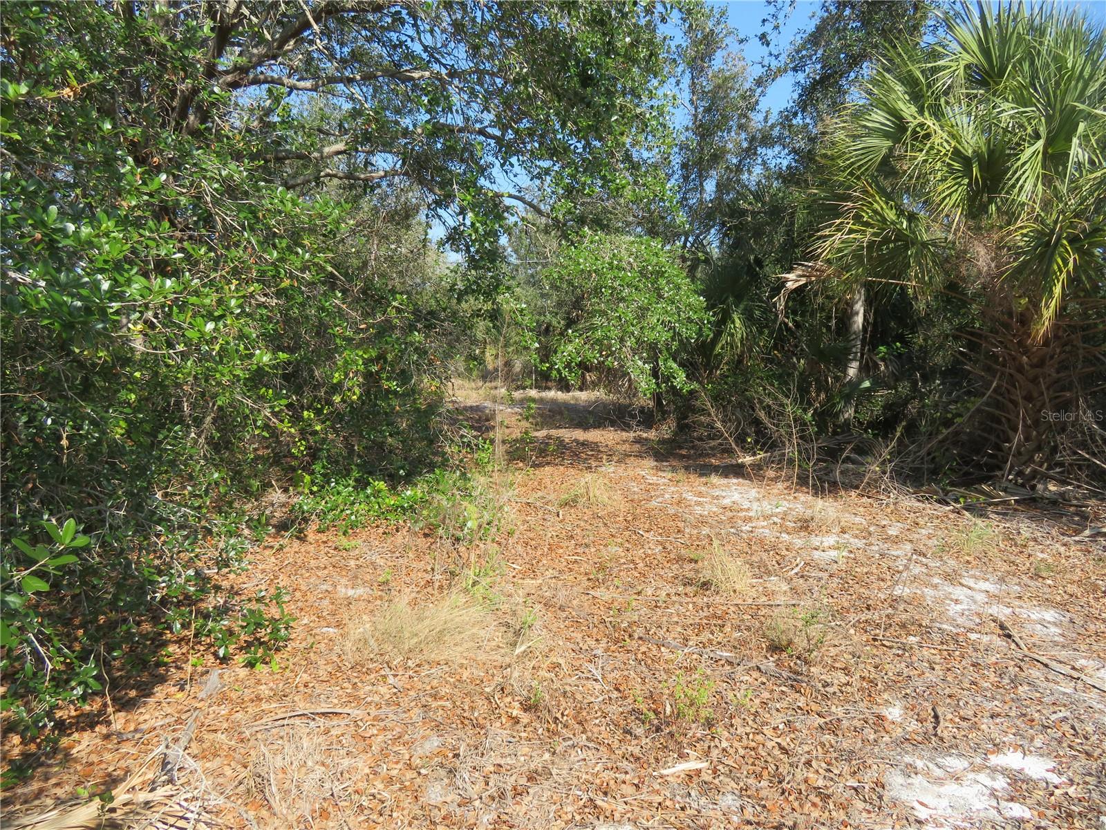 6186 Herb St Property Photo 4