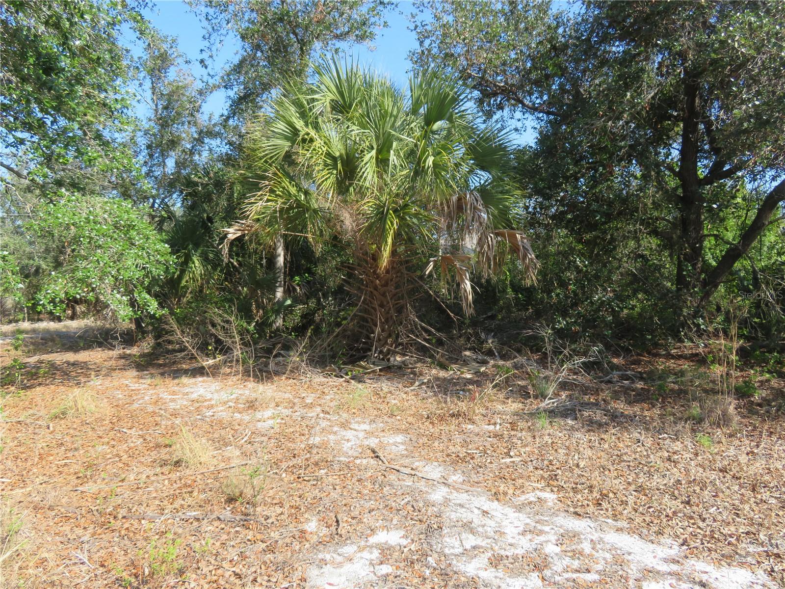 6186 Herb St Property Photo 5