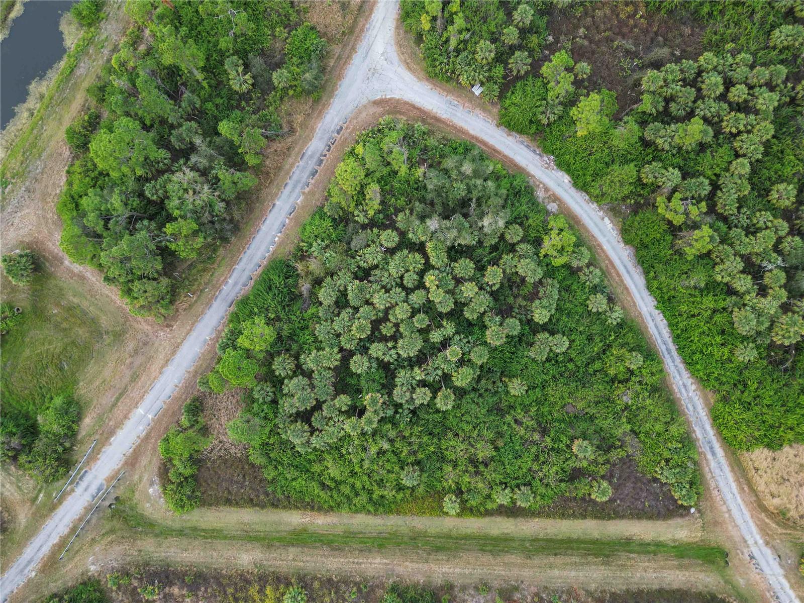 Canyon Ter Property Photo 16