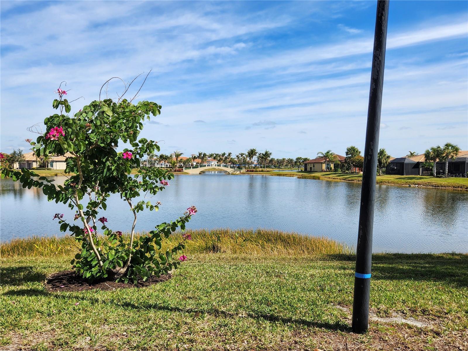 13892 Alafaya St Property Photo 46