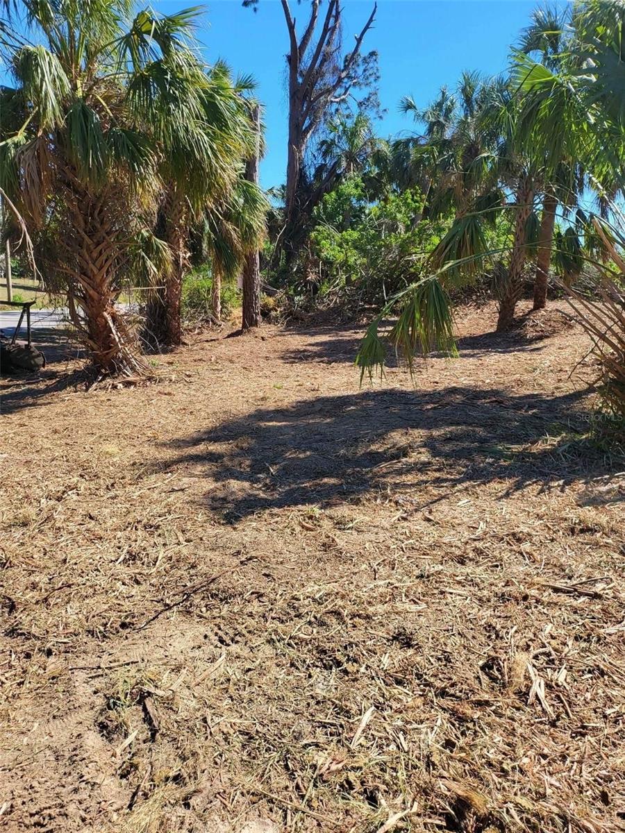 Bendix Ter Property Photo 3