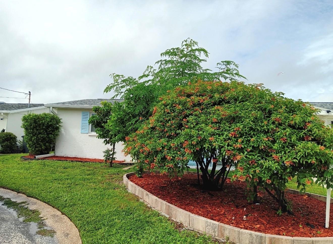 12613 4th Isle Property Photo 38