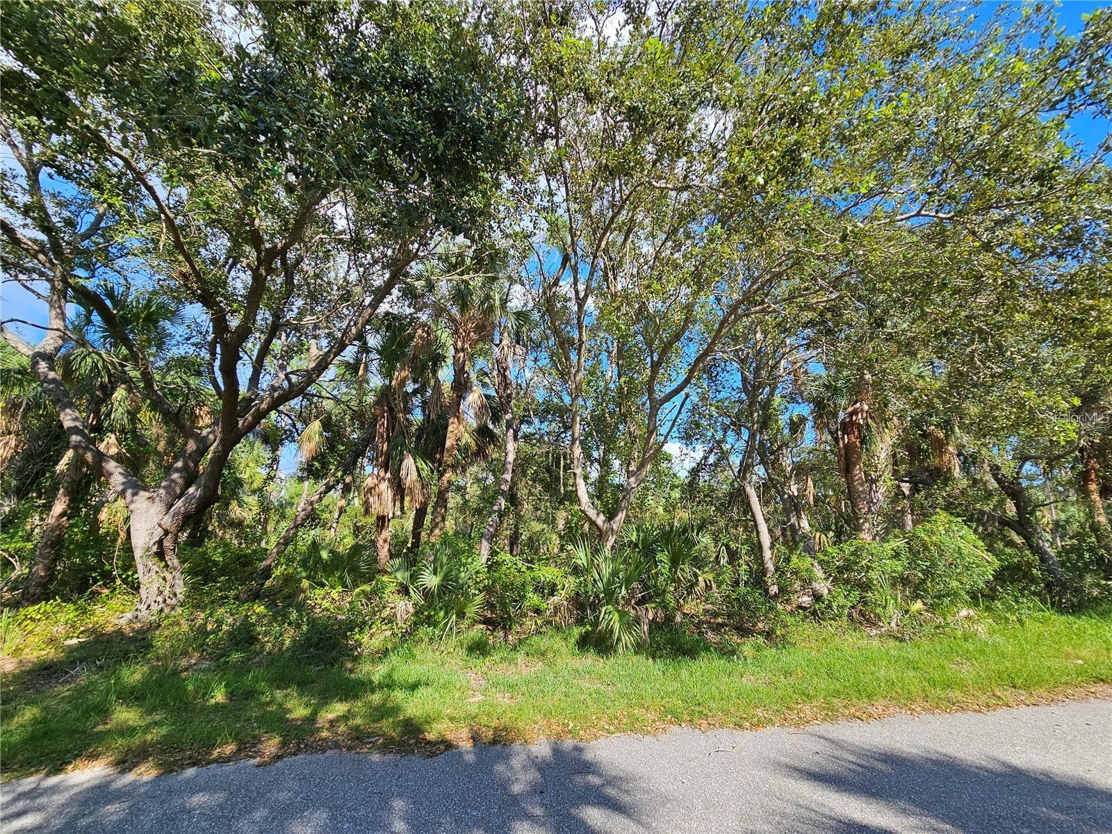 3278 CENTURY ST Property Photo 1