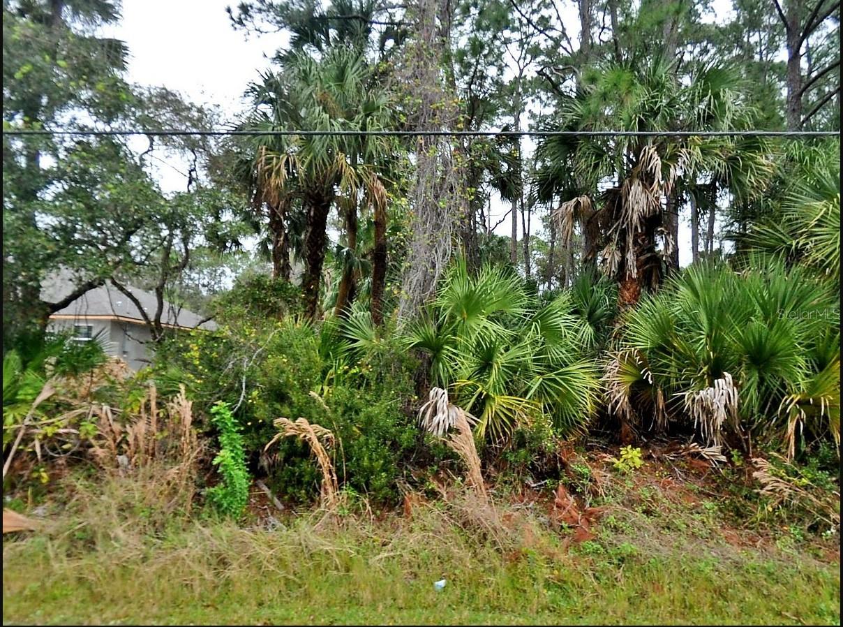 Sardinia Ave Property Photo