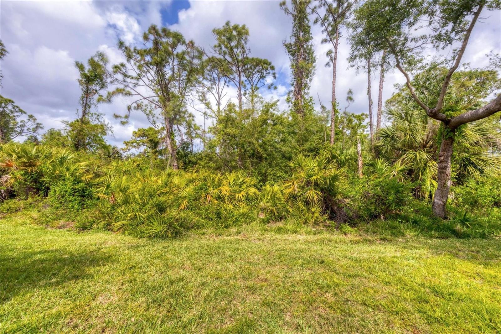 1241 Creek Nine Dr Property Photo 34