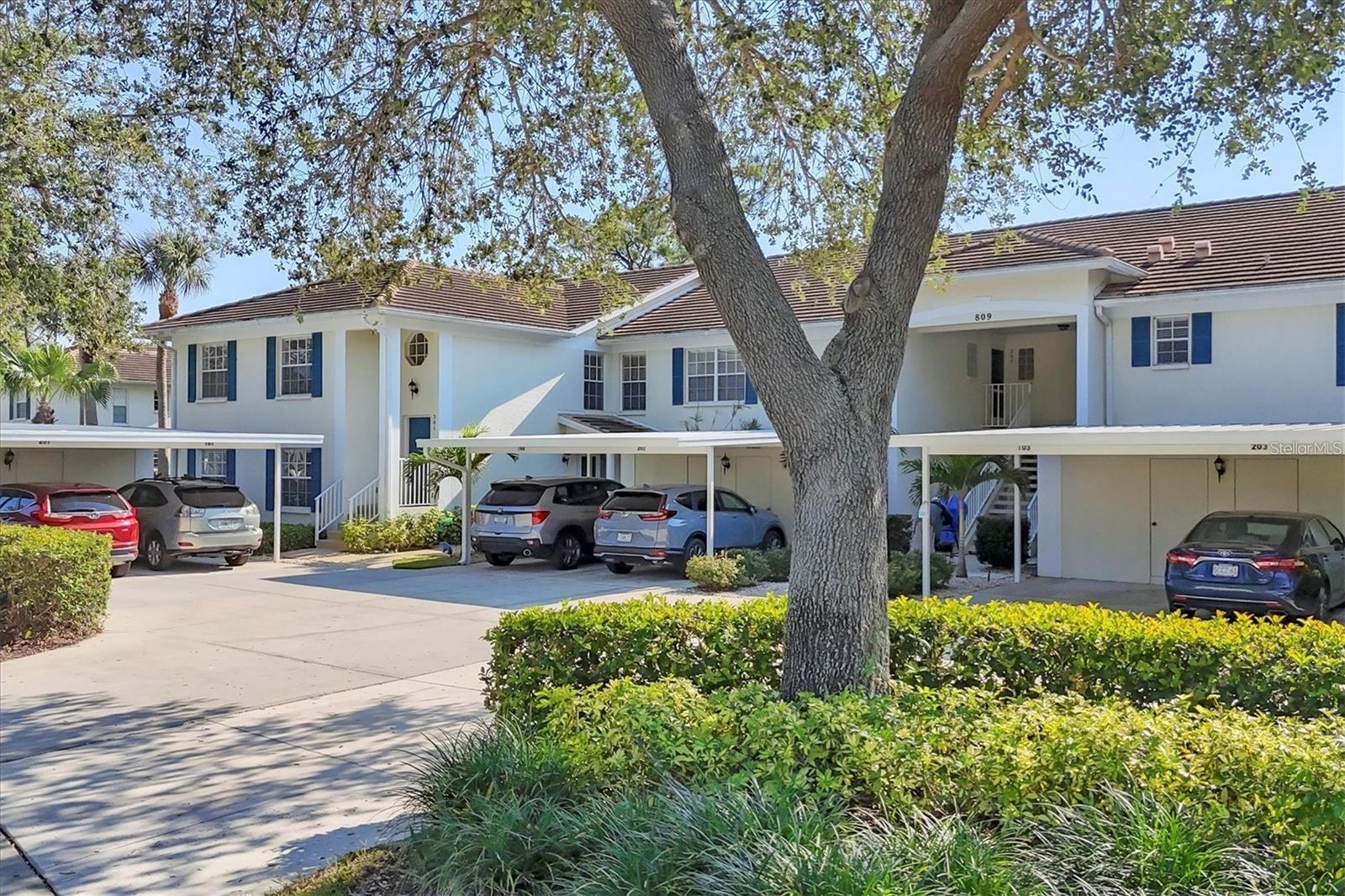 809 MONTROSE DR #203 Property Photo 1