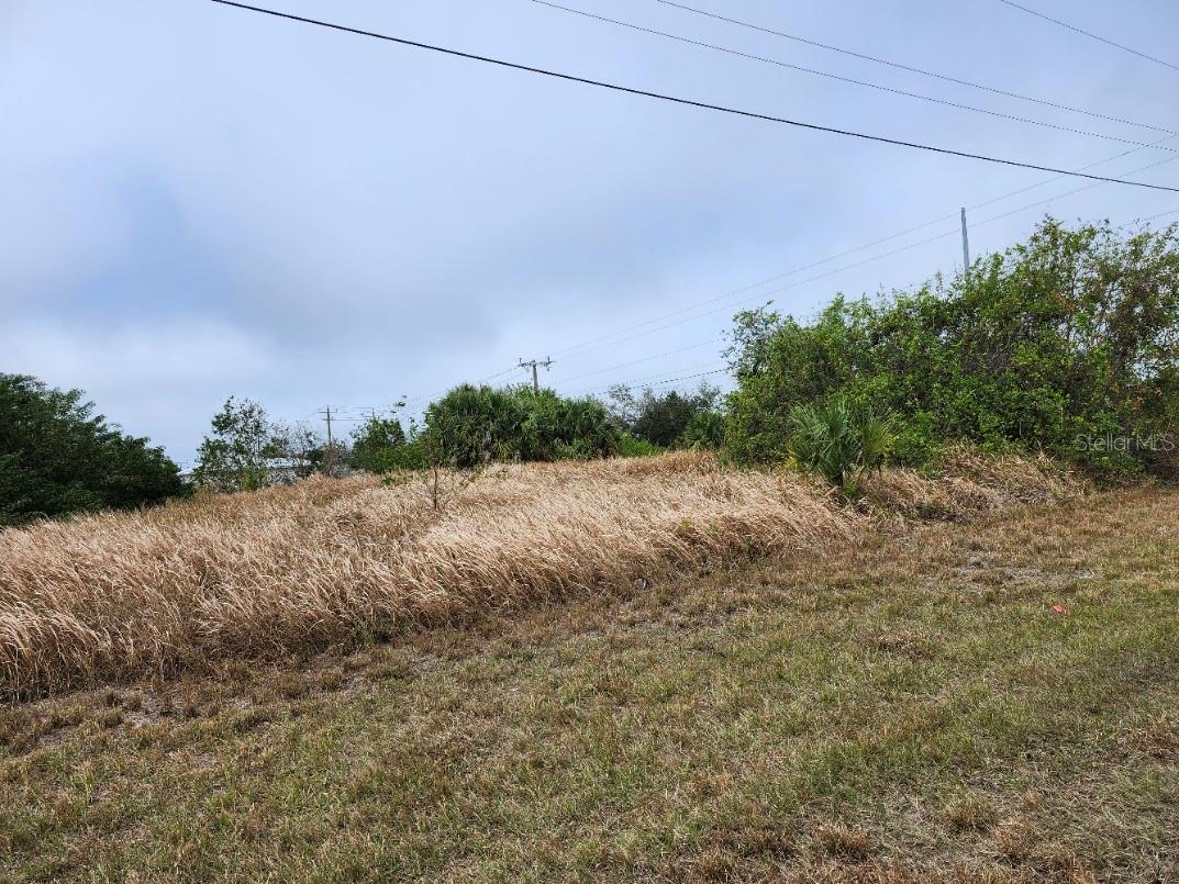 27147 Sunnybrook Rd Property Photo 4
