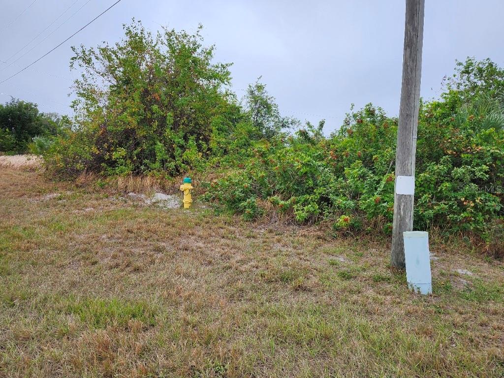 27147 Sunnybrook Rd Property Photo 9