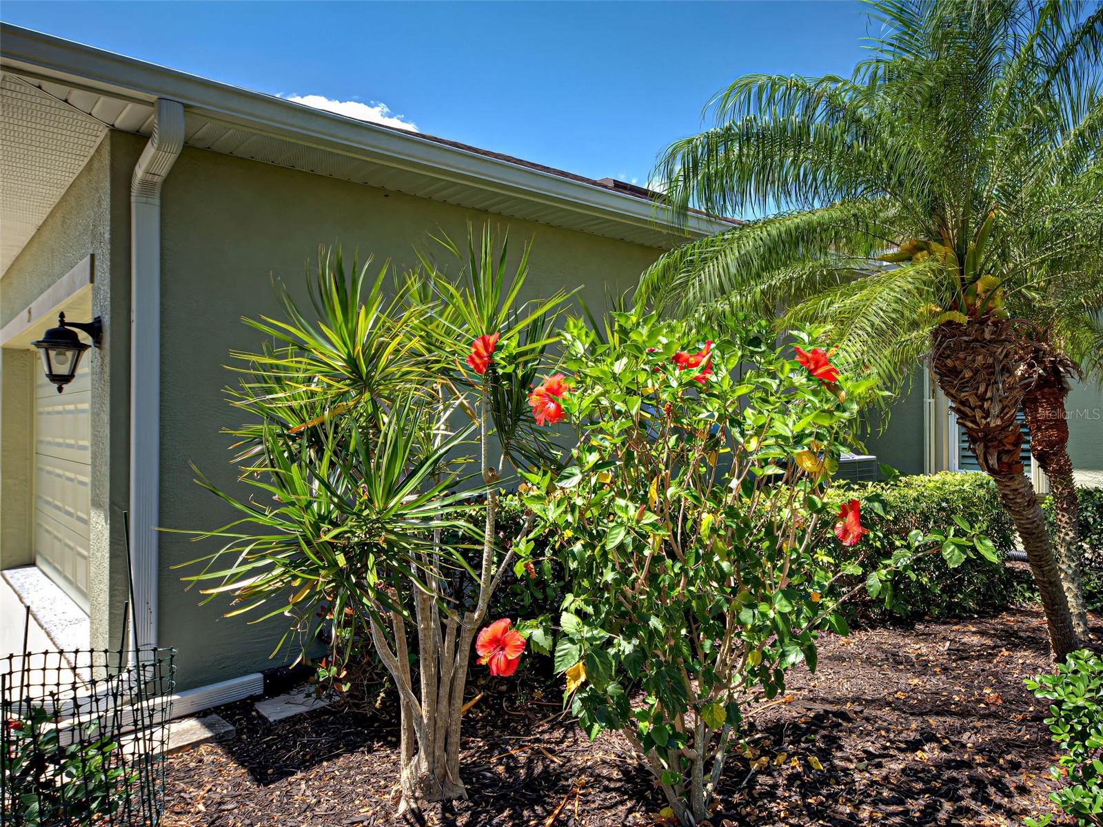 275 Capulet Dr Property Photo 6