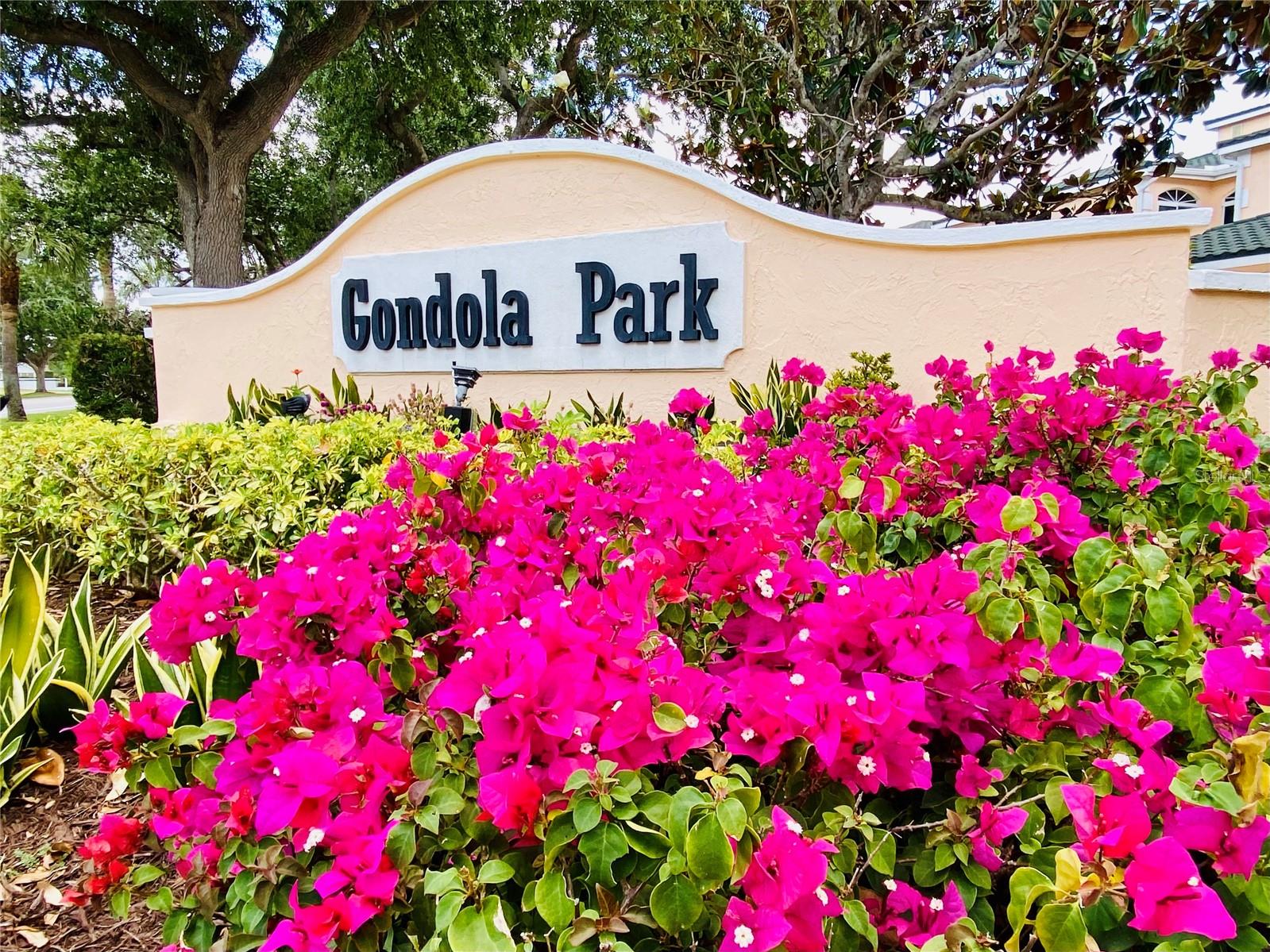 801 Gondola Park Dr #801 Property Photo 16
