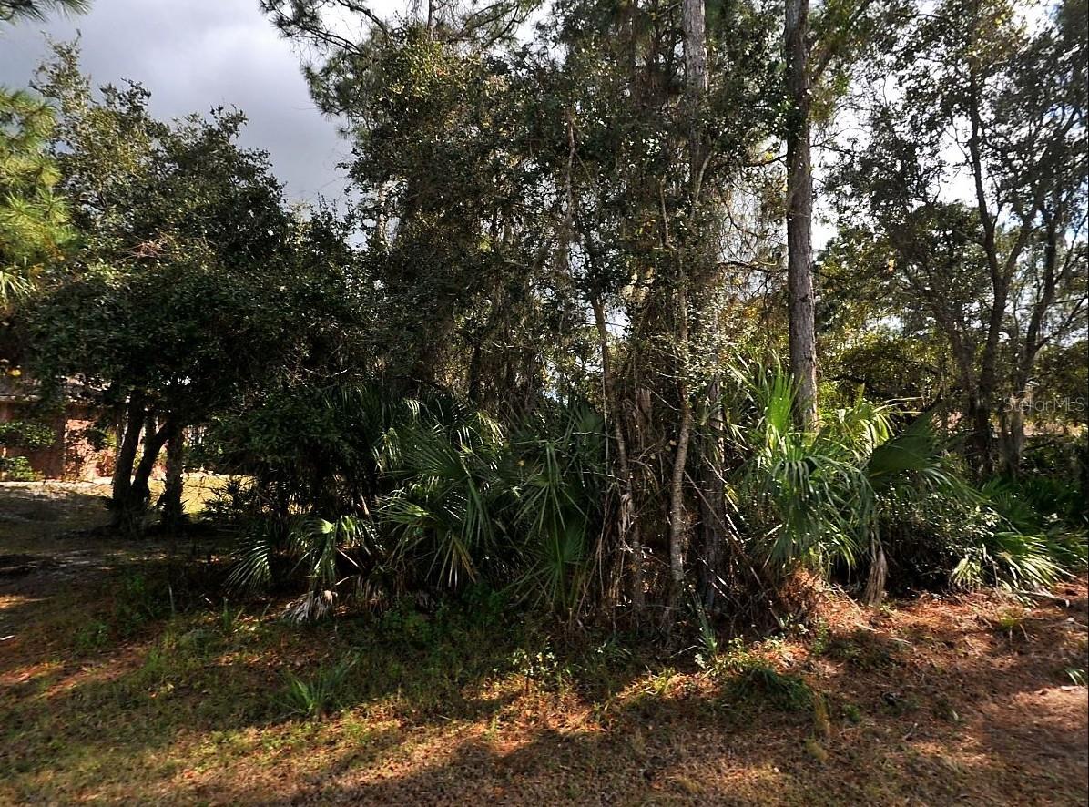 Westberry Ter Property Photo
