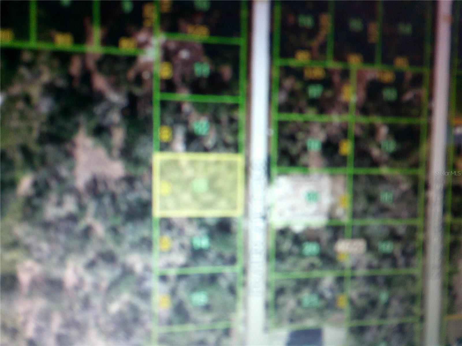 10393 Port Everglades St Property Photo 1