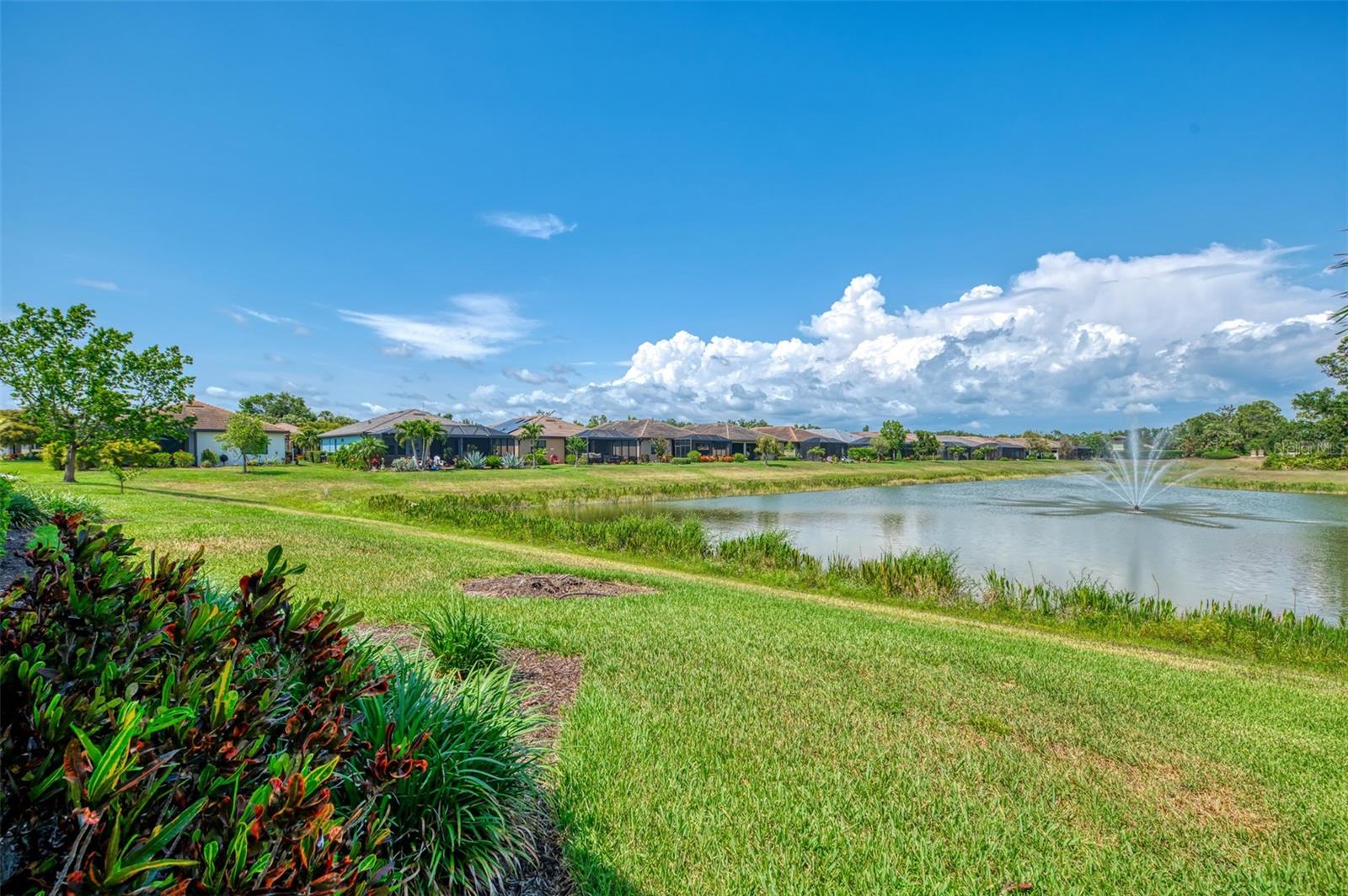 20636 Swallowtail Ct Property Photo 46