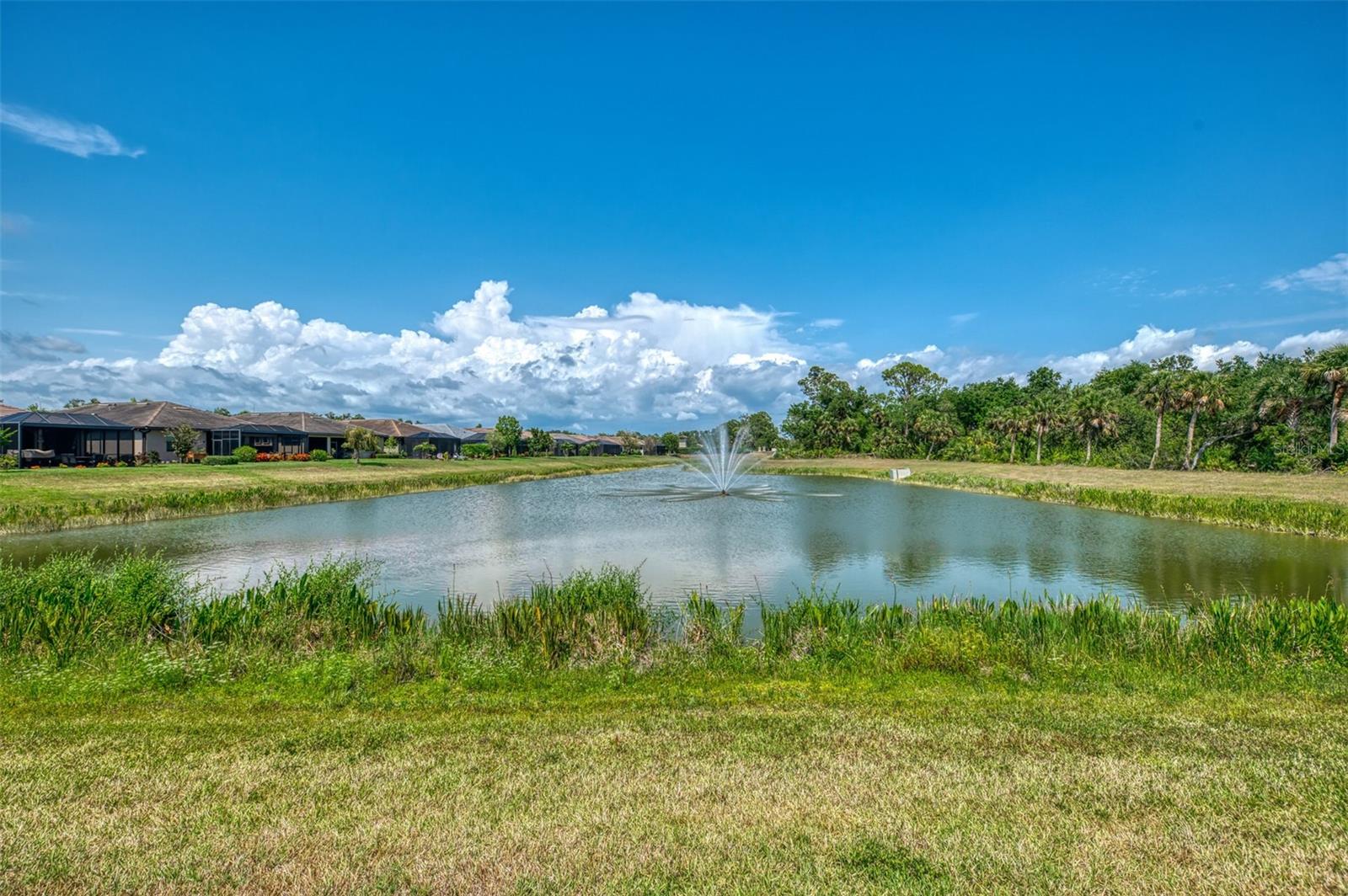 20636 Swallowtail Ct Property Photo 47