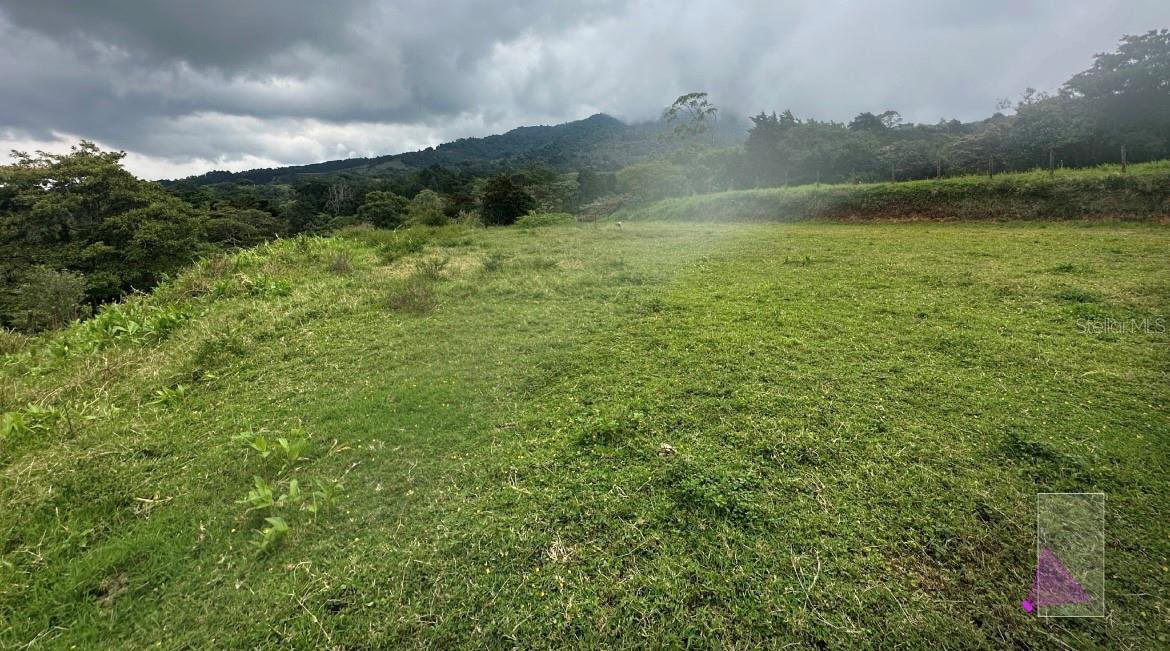 San Josesito Property Photo 1