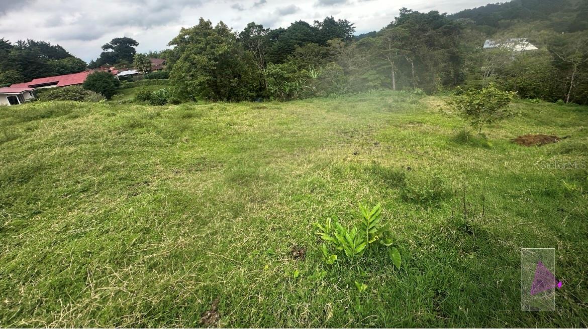 San Josesito Property Photo 3