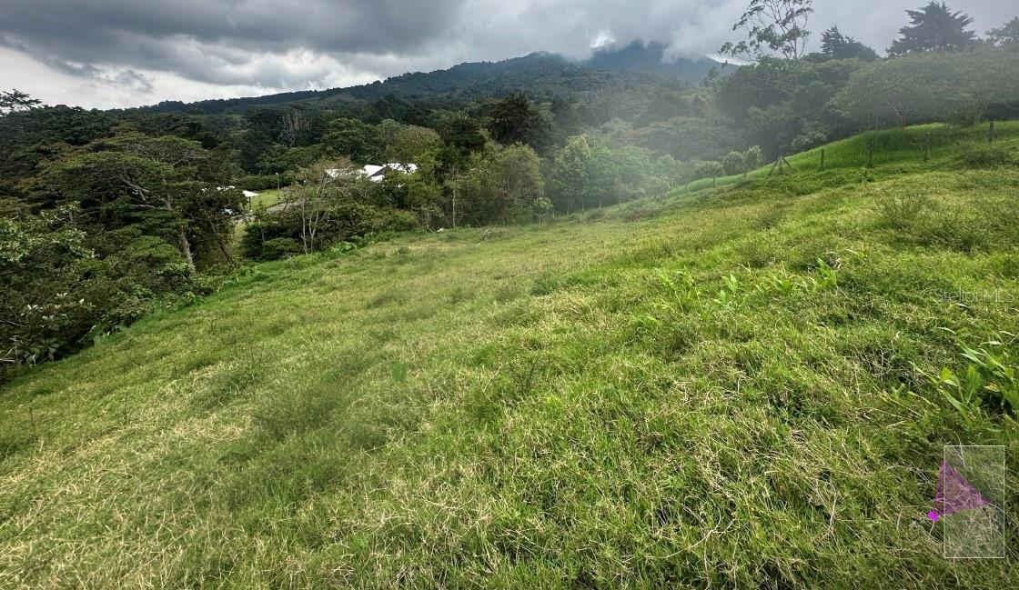 San Josesito Property Photo 4