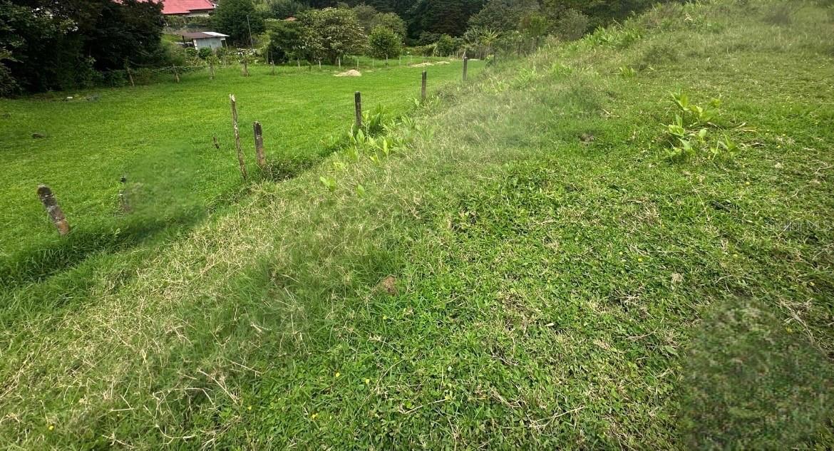 San Josesito Property Photo 7