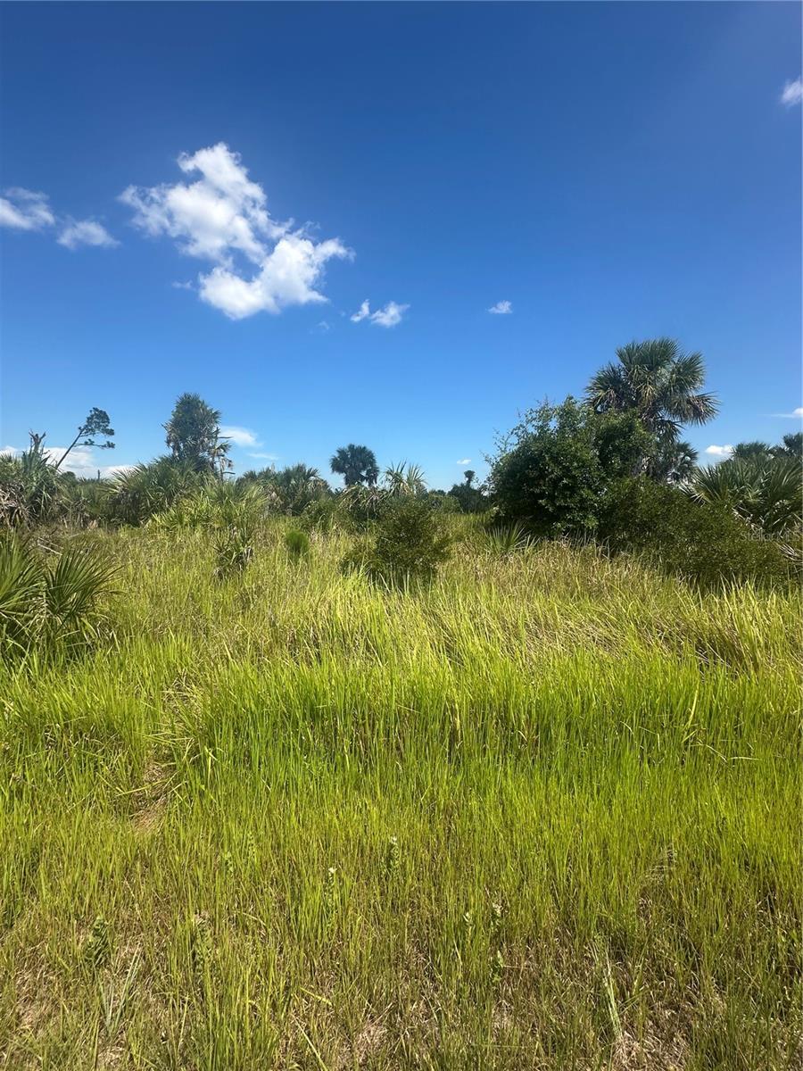 BOSKOOP RD Property Photo 1
