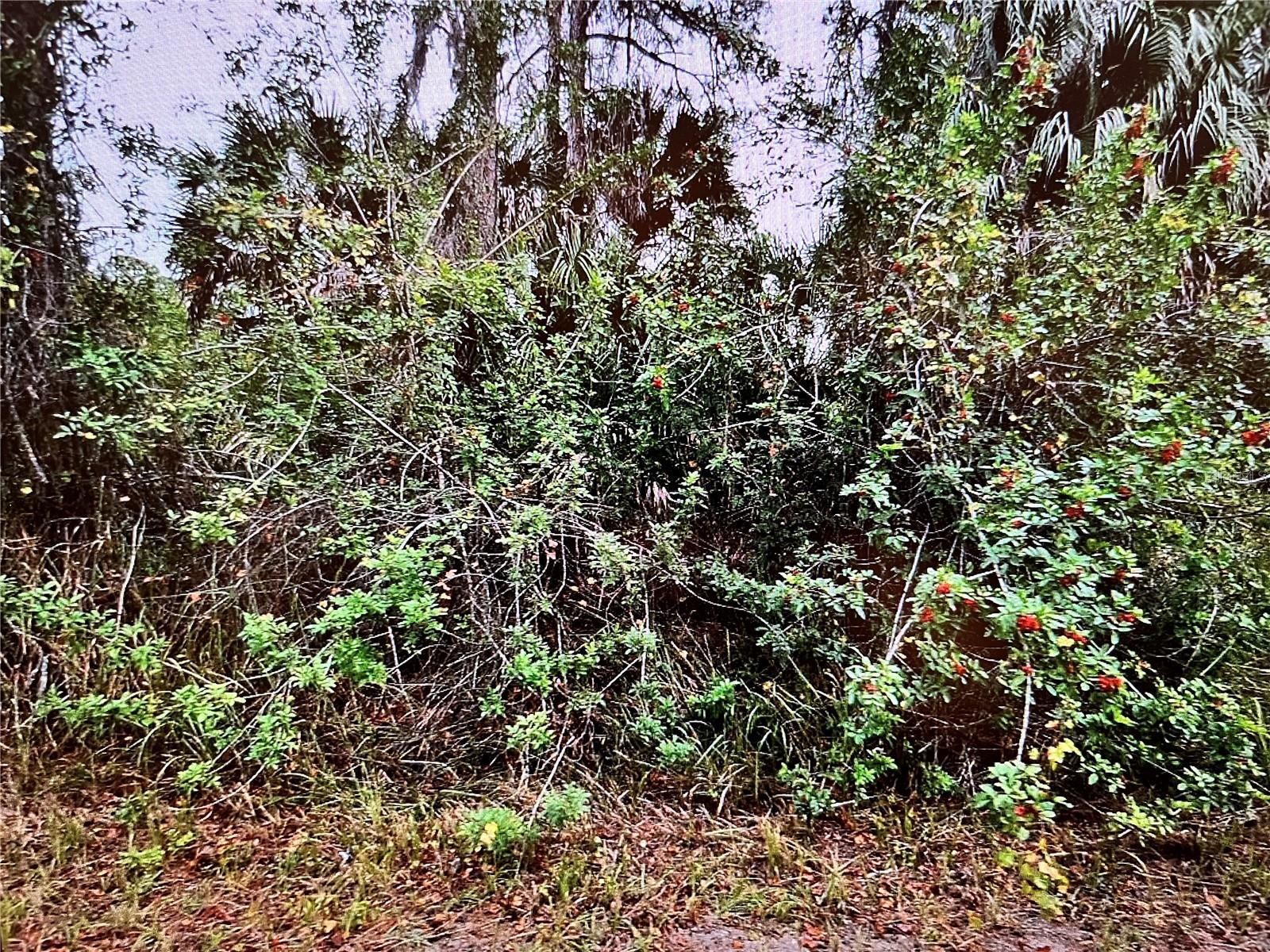 Lot 24 Campbell St Property Photo 2