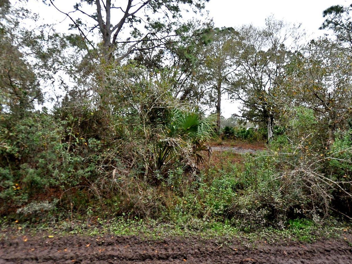 HENRIETTA AVE Property Photo 1