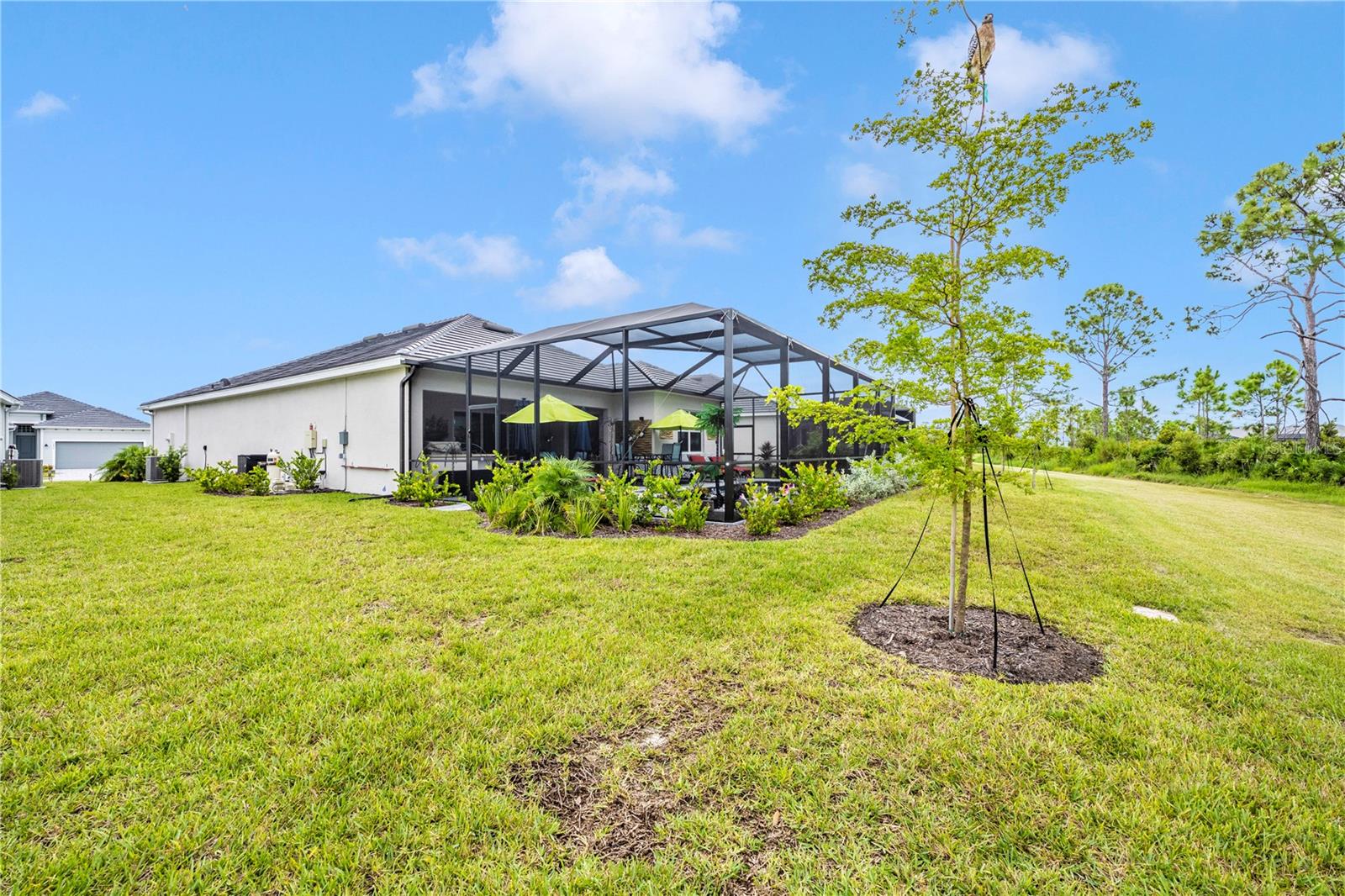 12845 Tulum Loop Property Photo 51