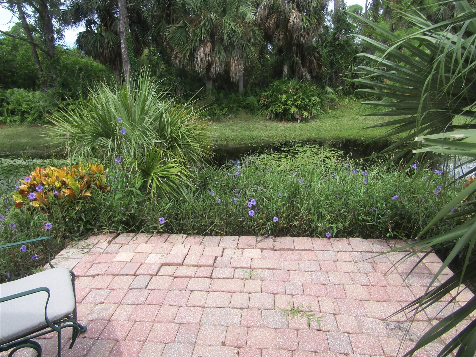 4137 Bella Pasque Property Photo 9