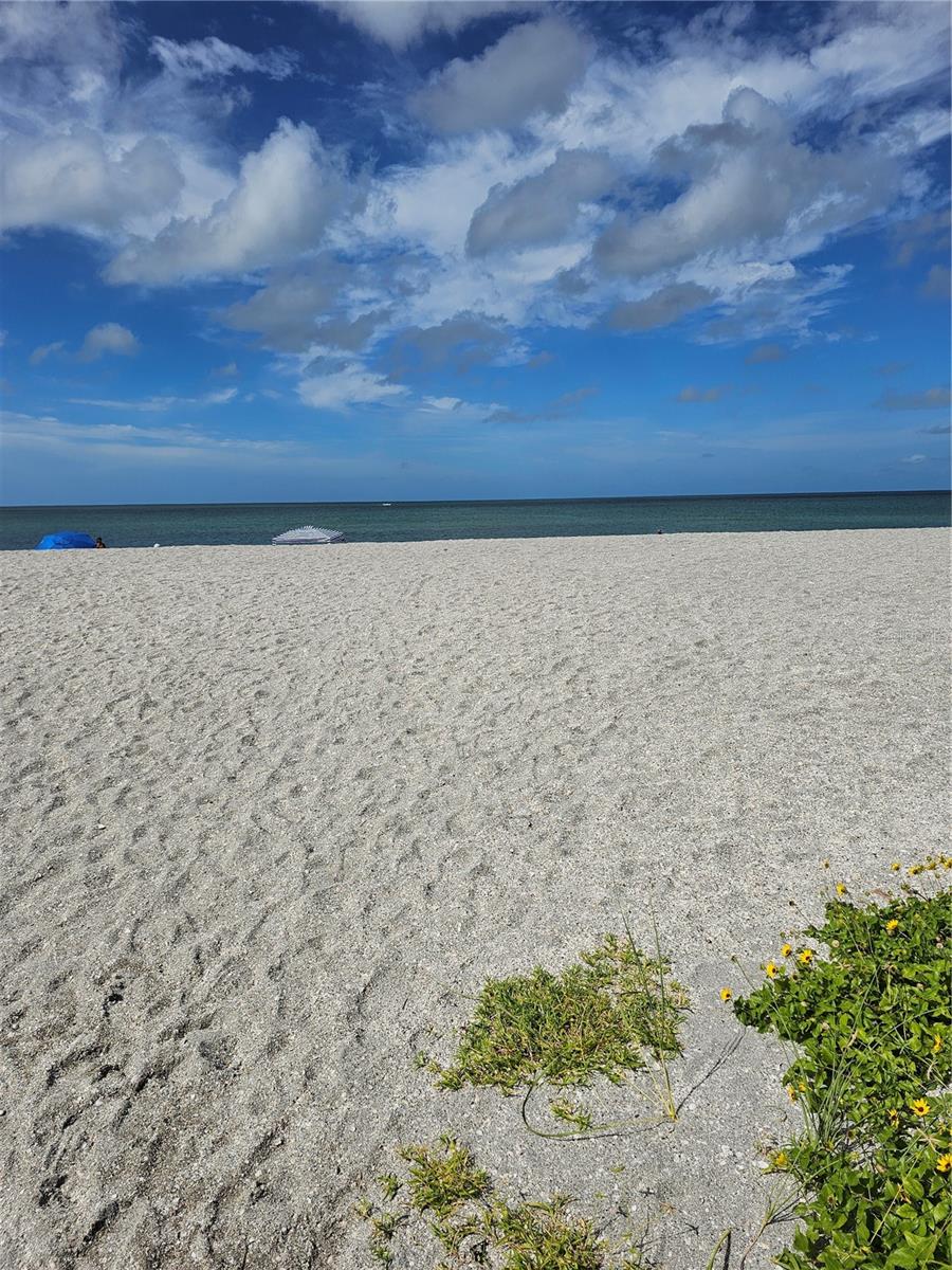 1255 Tarpon Center Dr #614 Property Photo 12