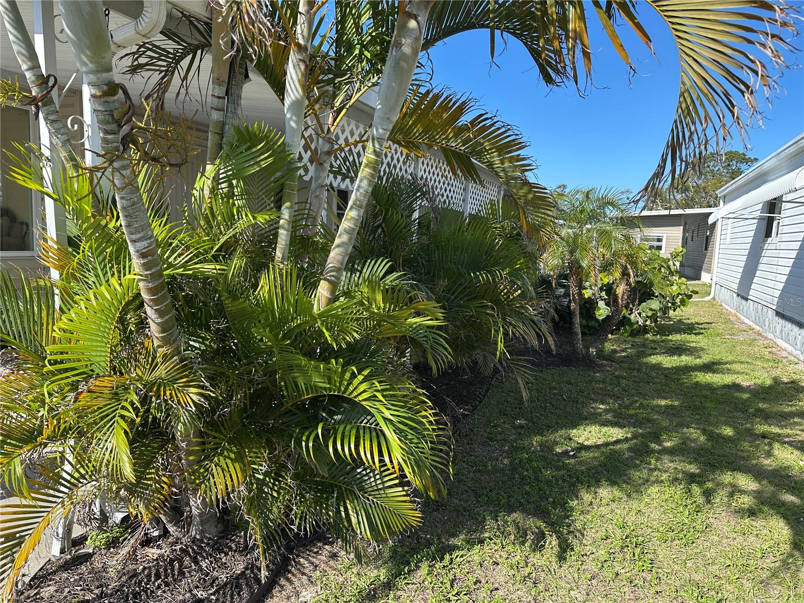 5800 Forsythia Rd Property Photo 17